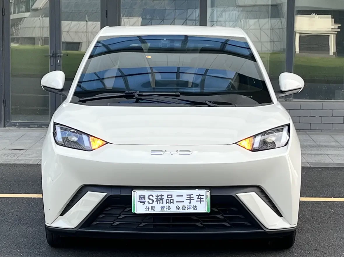 BYD Seagull