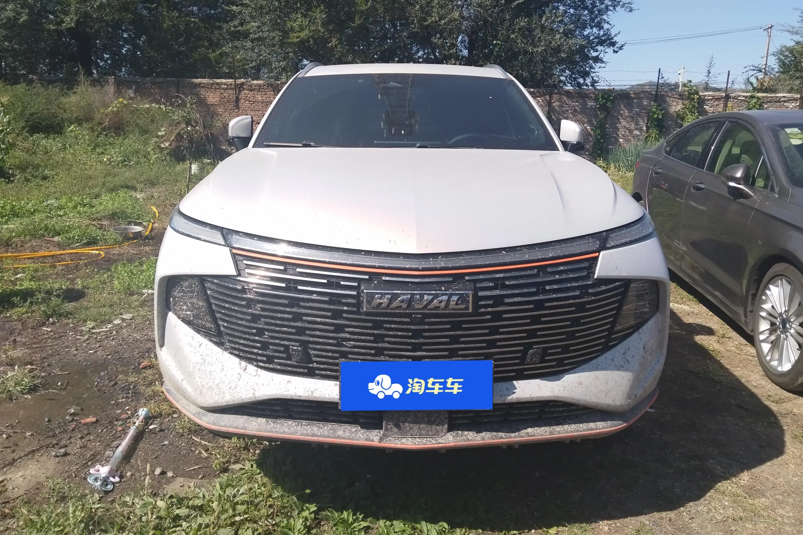 Haval Shenshou