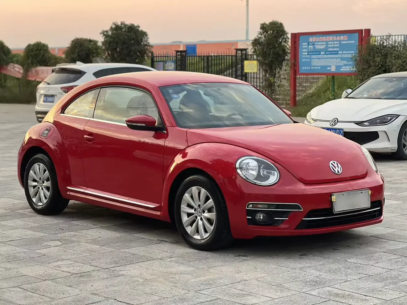 Volkswagen Beetle