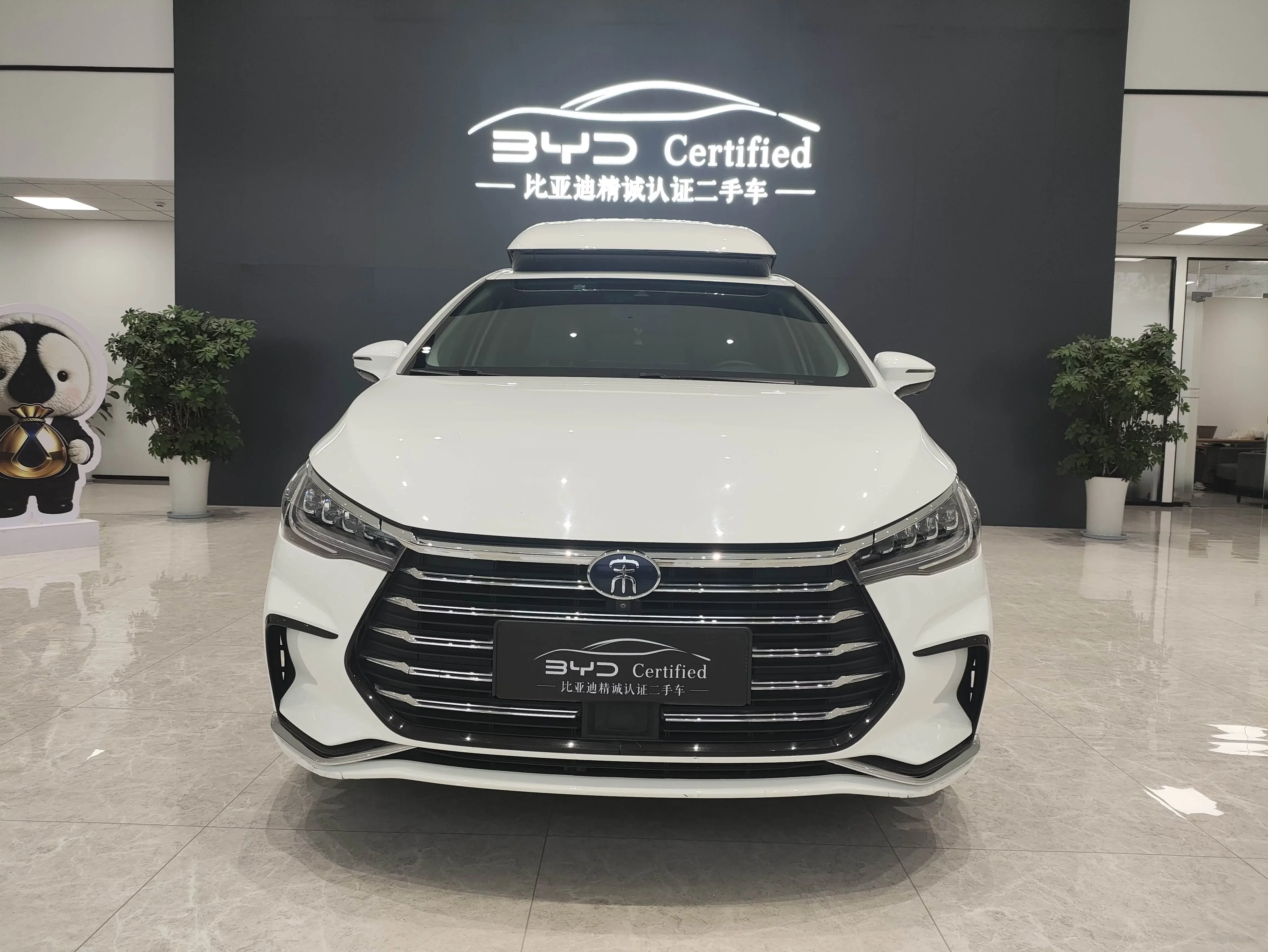 BYD Song MAX DM