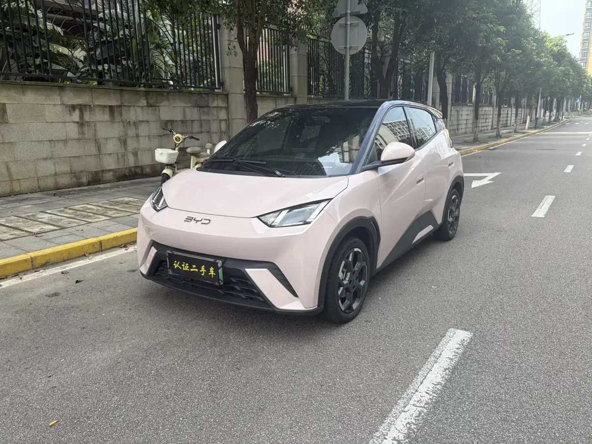 BYD Seagull