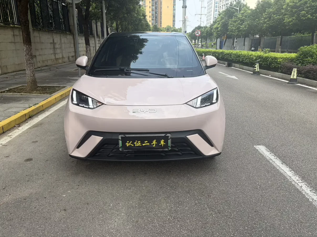 BYD Seagull