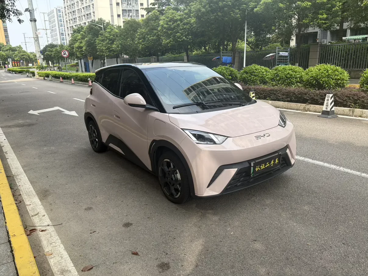 BYD Seagull