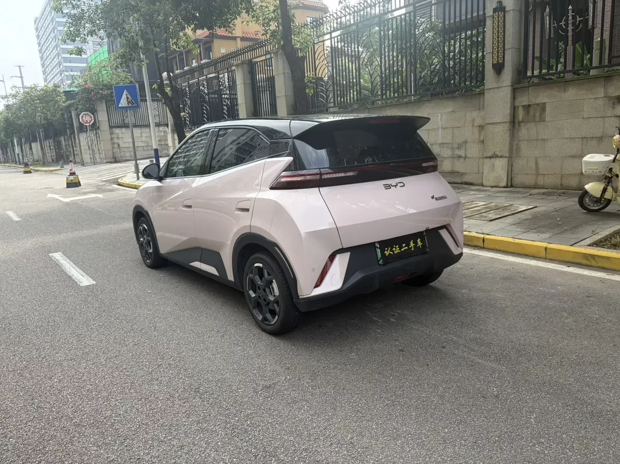 BYD Seagull