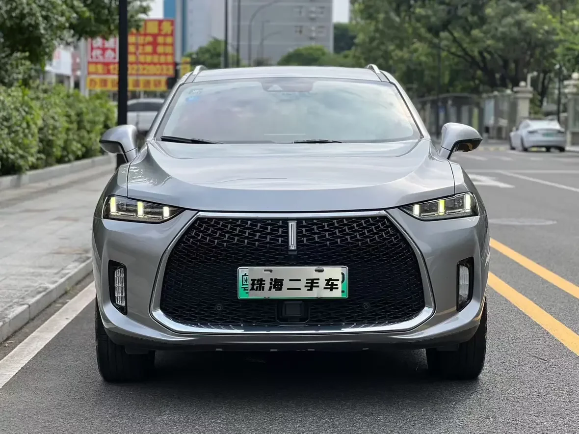 Wey Wei brand P8