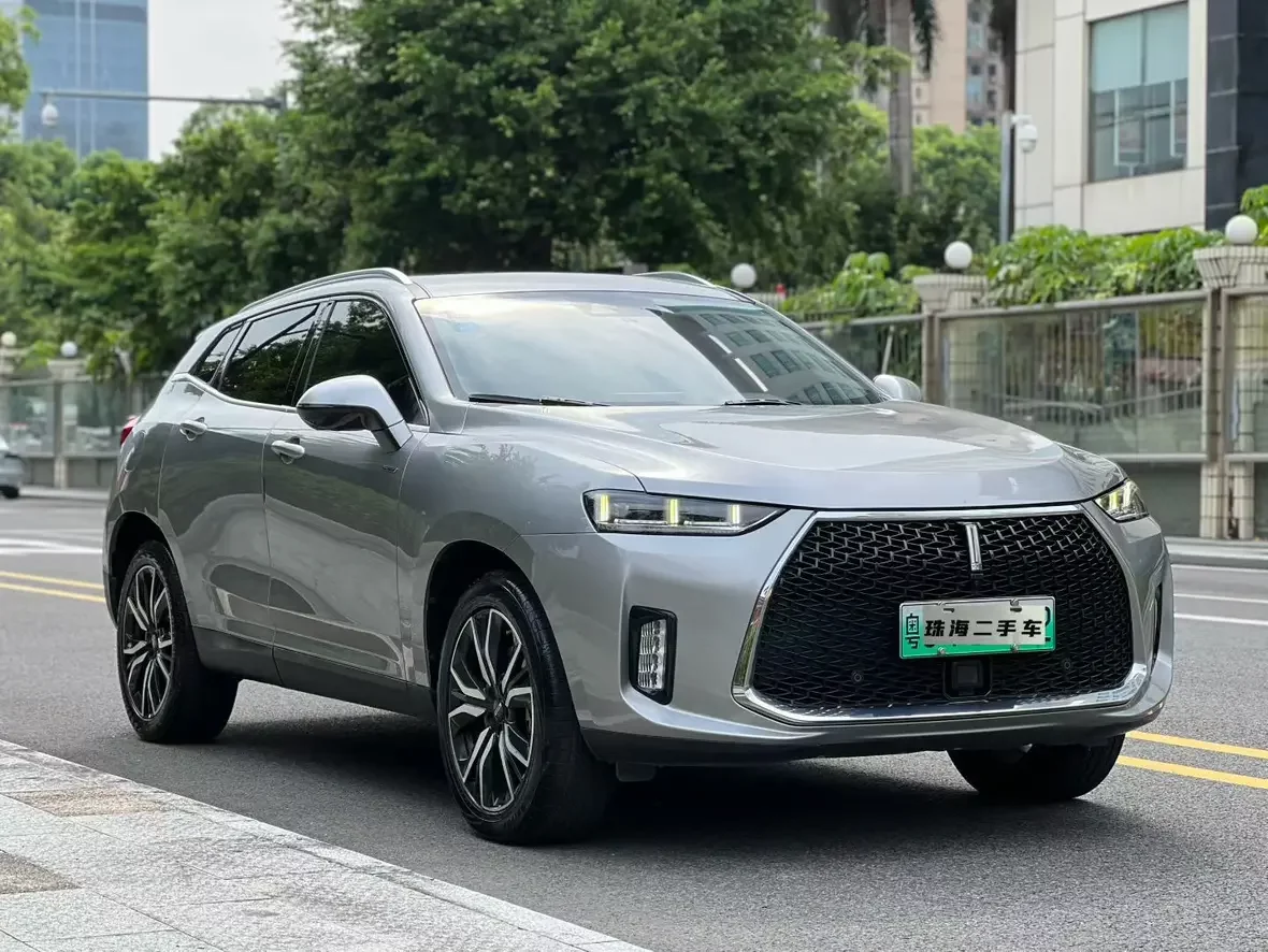 Wey Wei brand P8