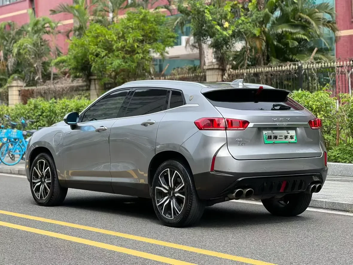 Wey Wei brand P8
