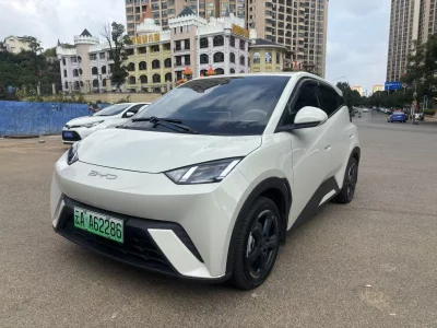 BYD Seagull