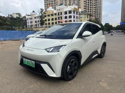 BYD Seagull