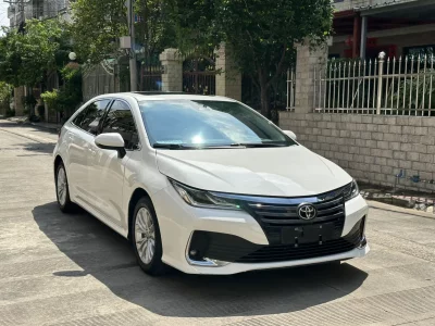 Toyota Asiatic lion