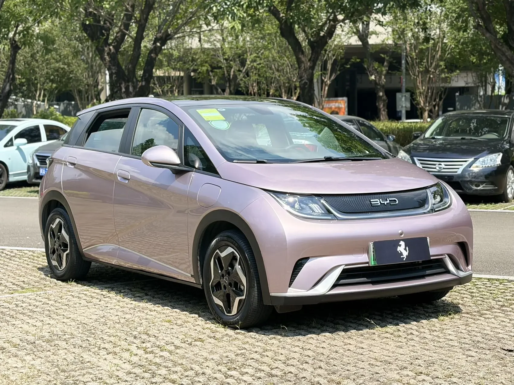 BYD Dolphin