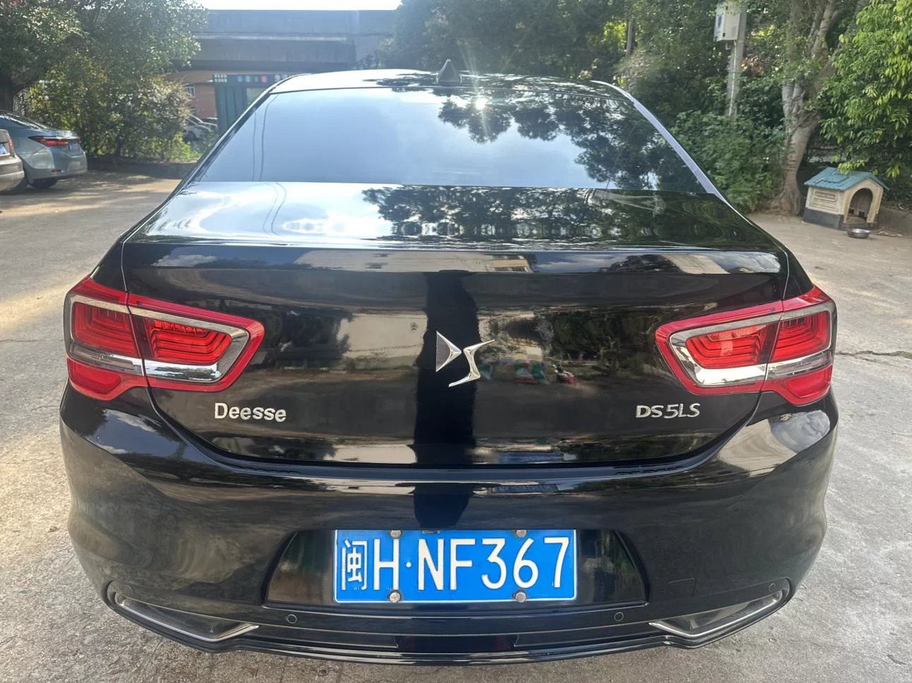 DS 5LS