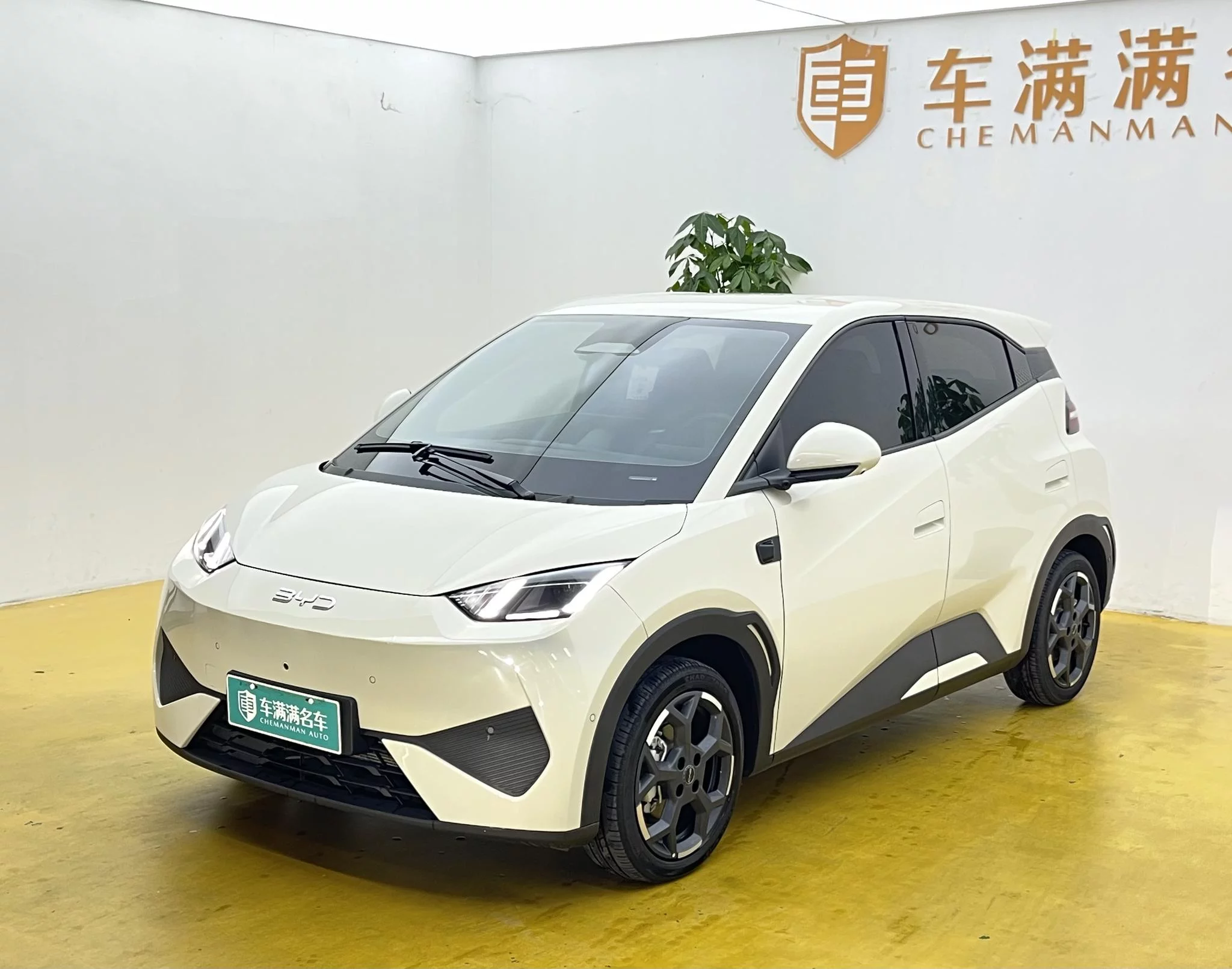 BYD Seagull
