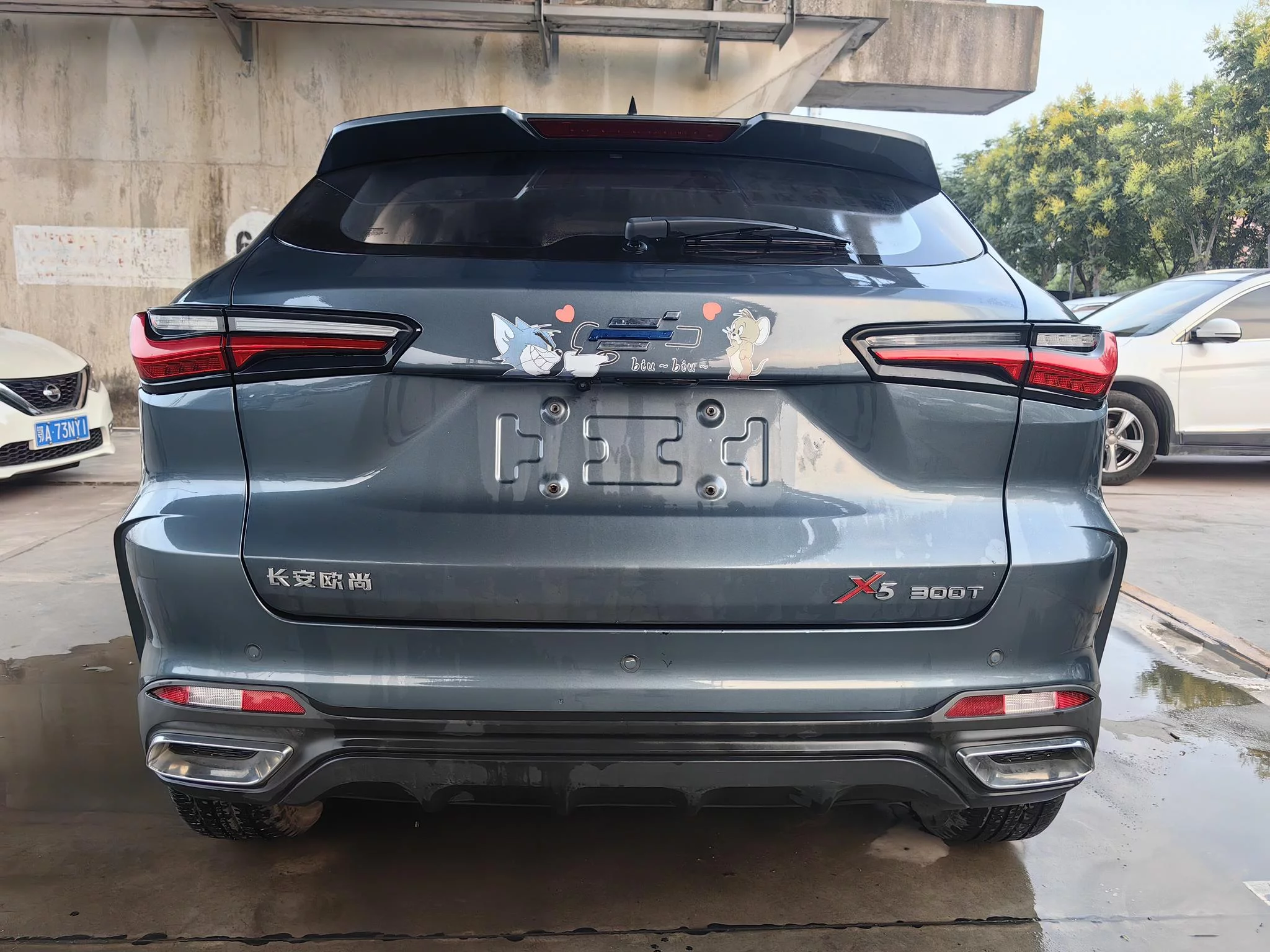 Oshan Changan Auchan X5