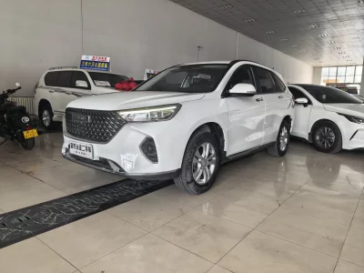 Haval M6