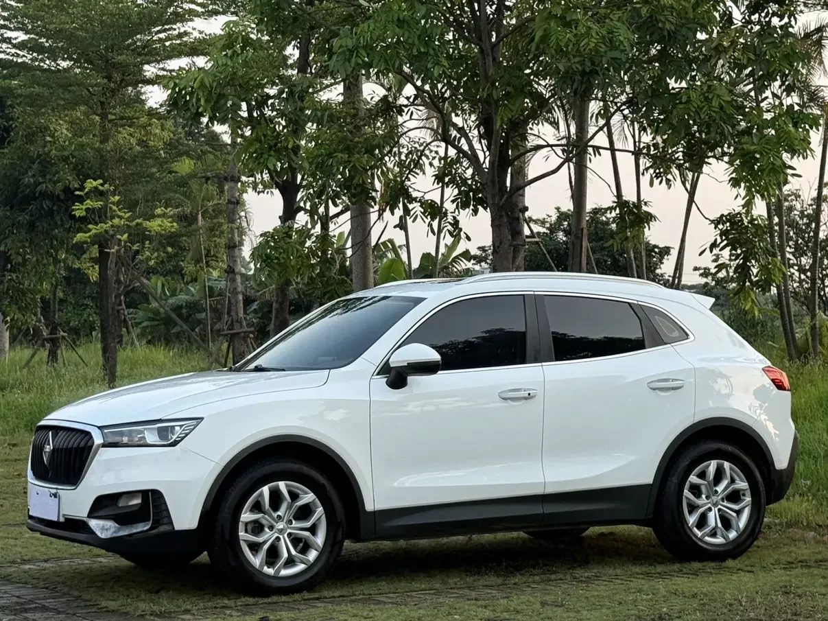 Borgward BX5