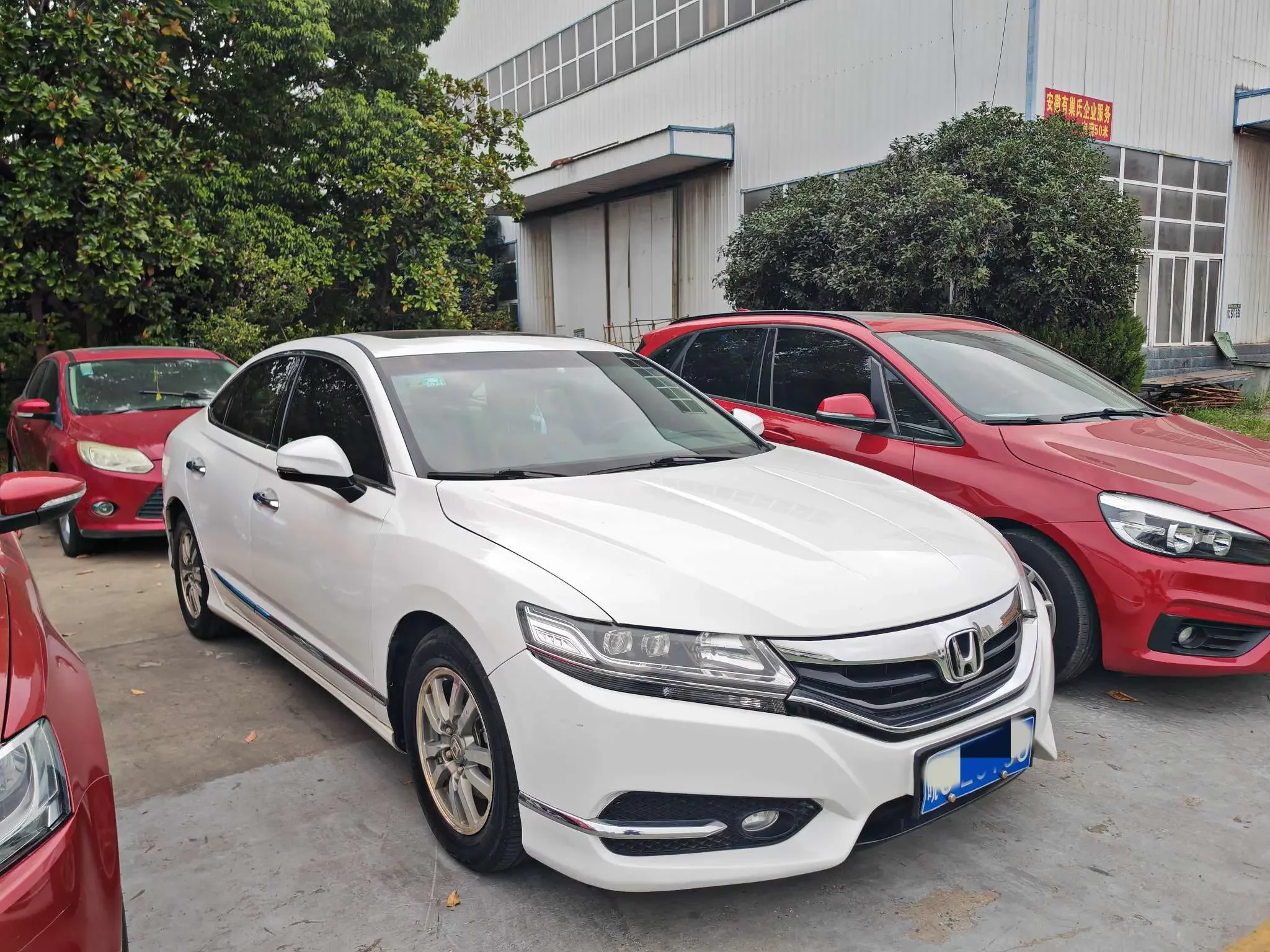 Honda Sibo Rui