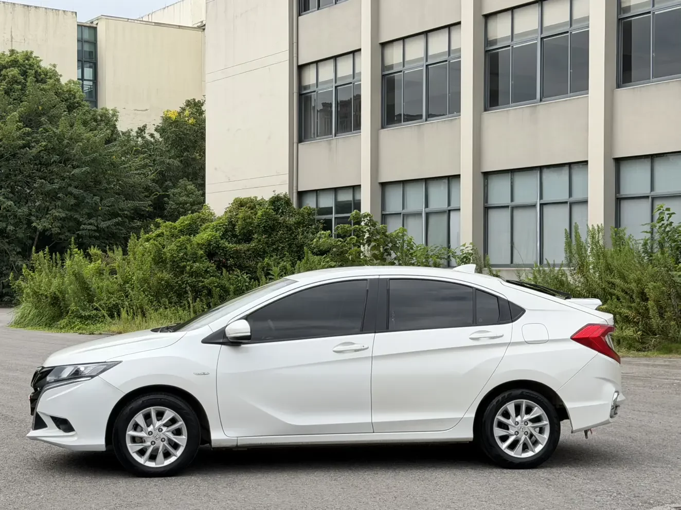Honda Gienia