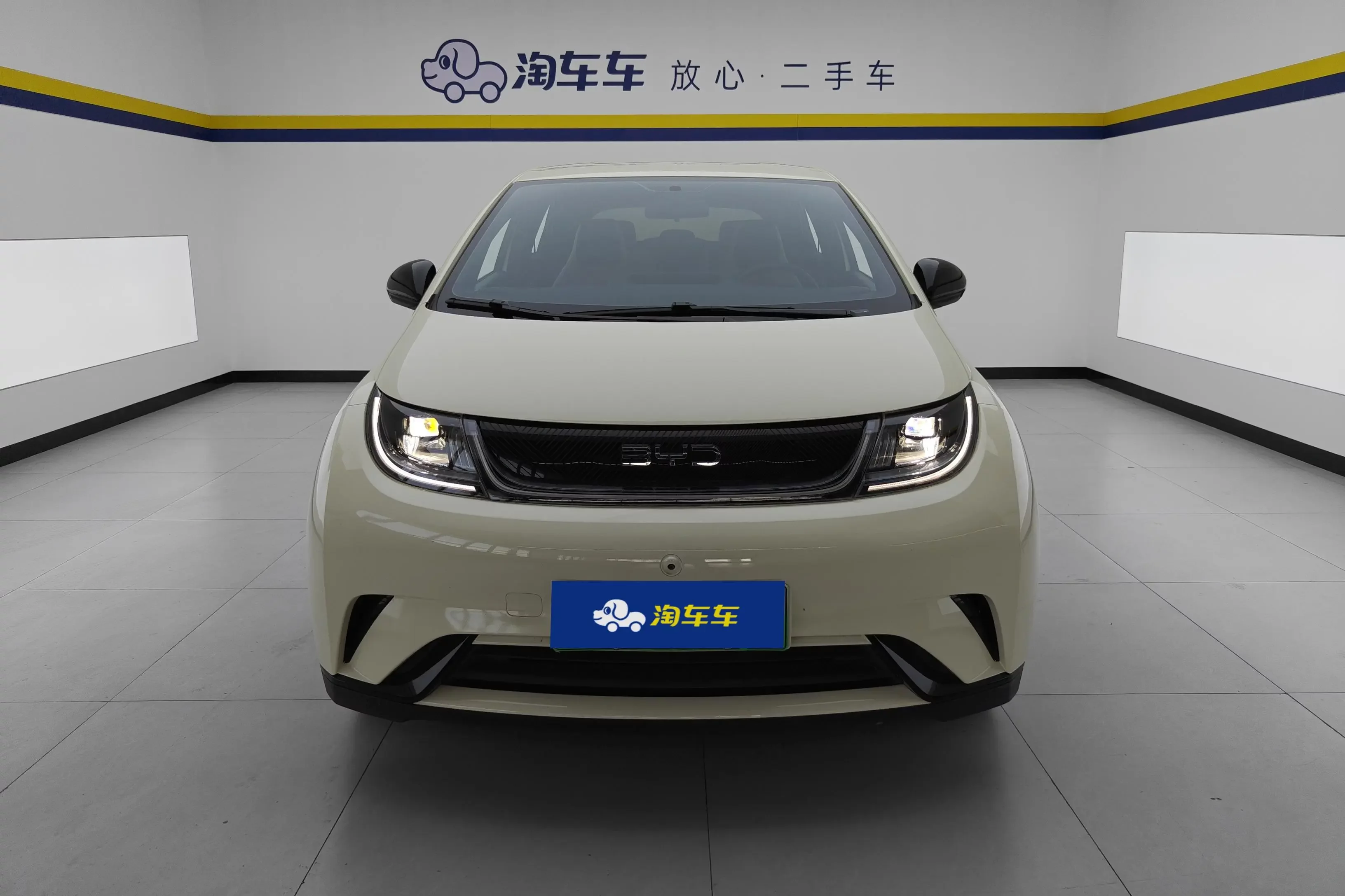 BYD Dolphin