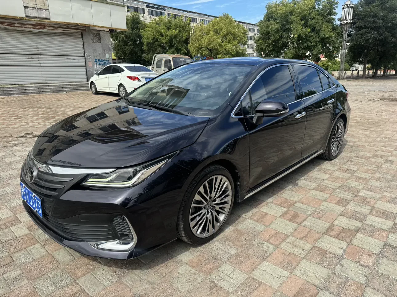Toyota Asiatic lion