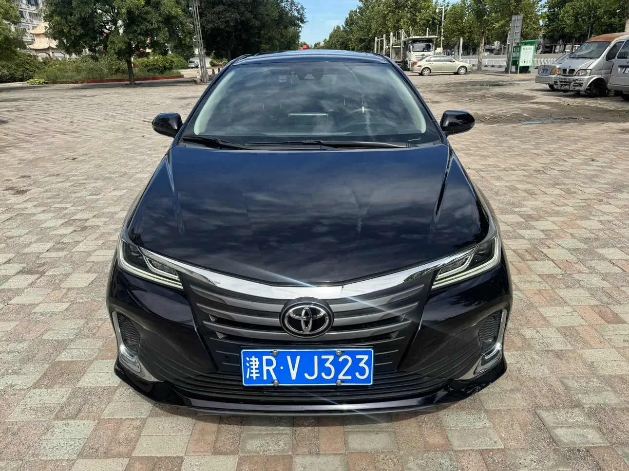 Toyota Asiatic lion