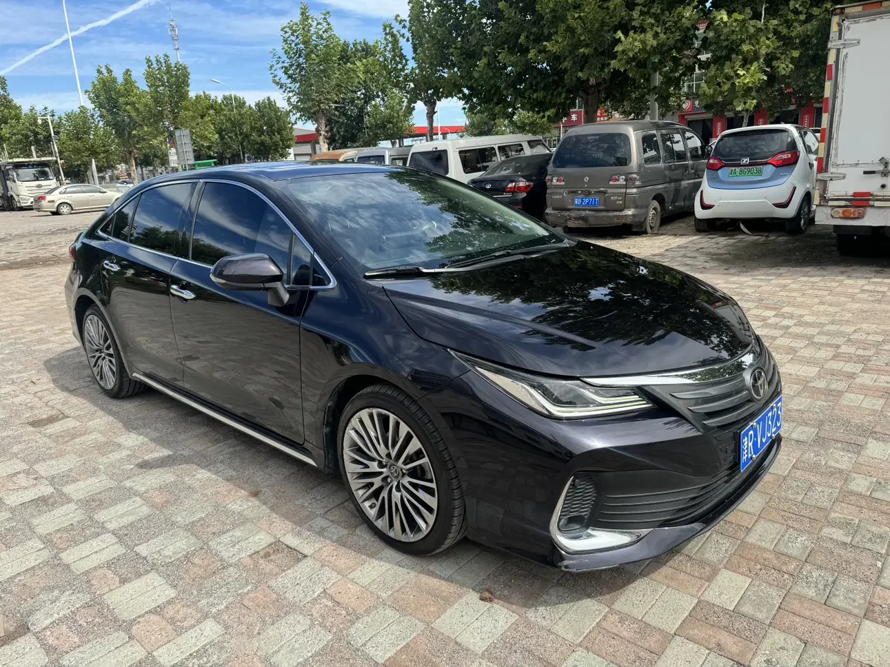 Toyota Asiatic lion