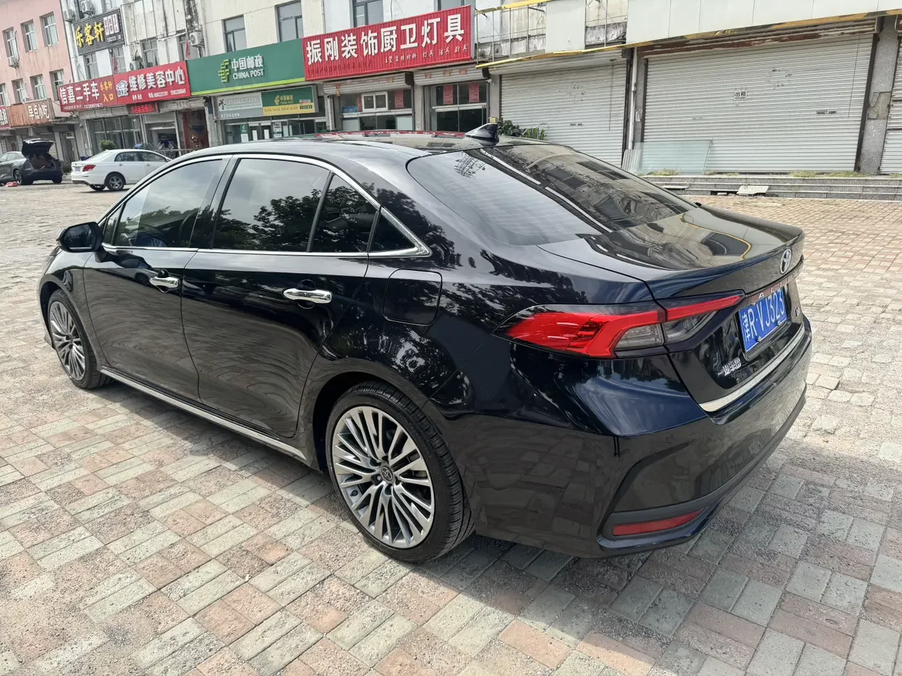 Toyota Asiatic lion