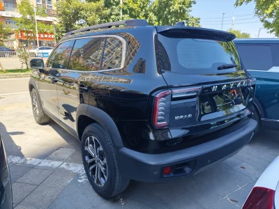 Haval Big Dog DaGou