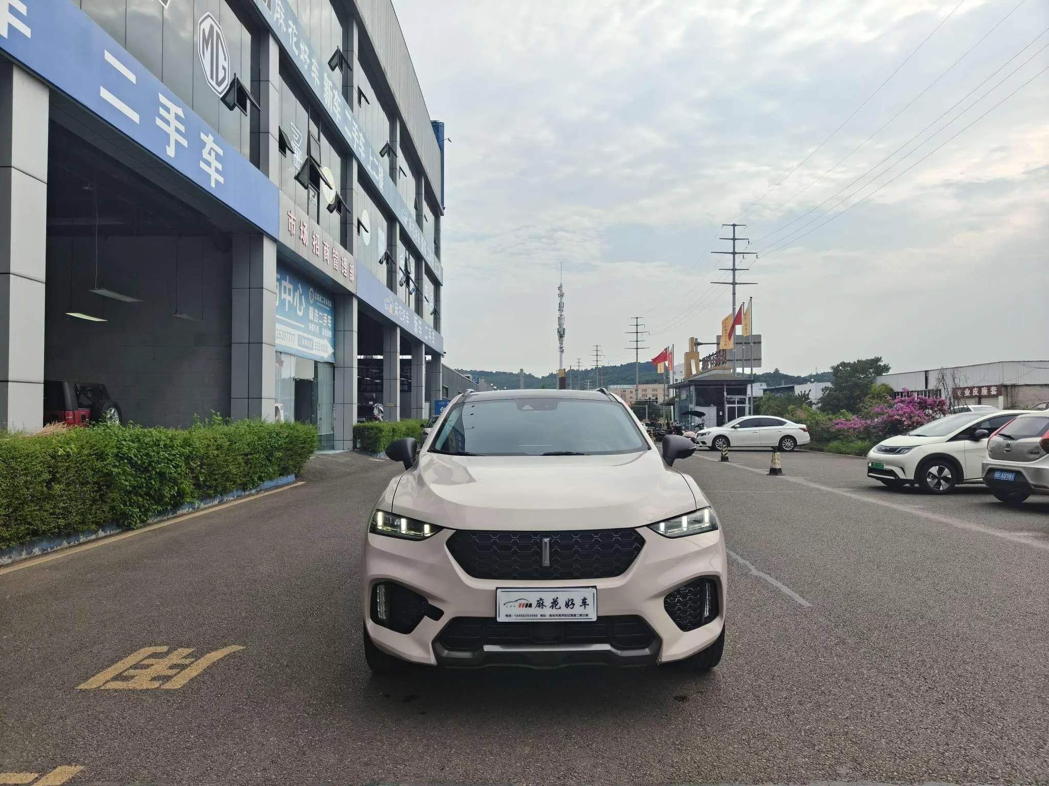 Wey Wei brand VV7