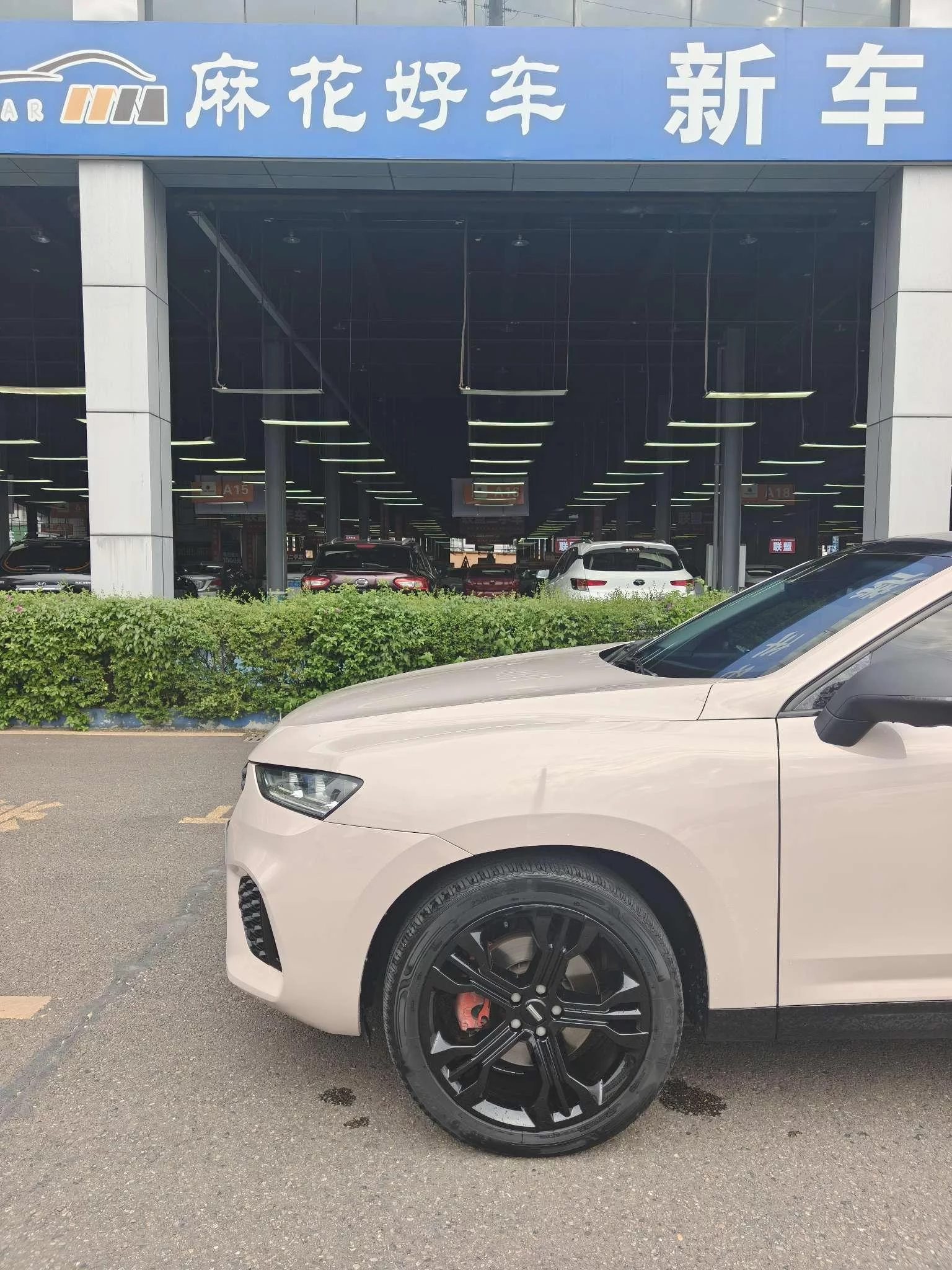 Wey Wei brand VV7