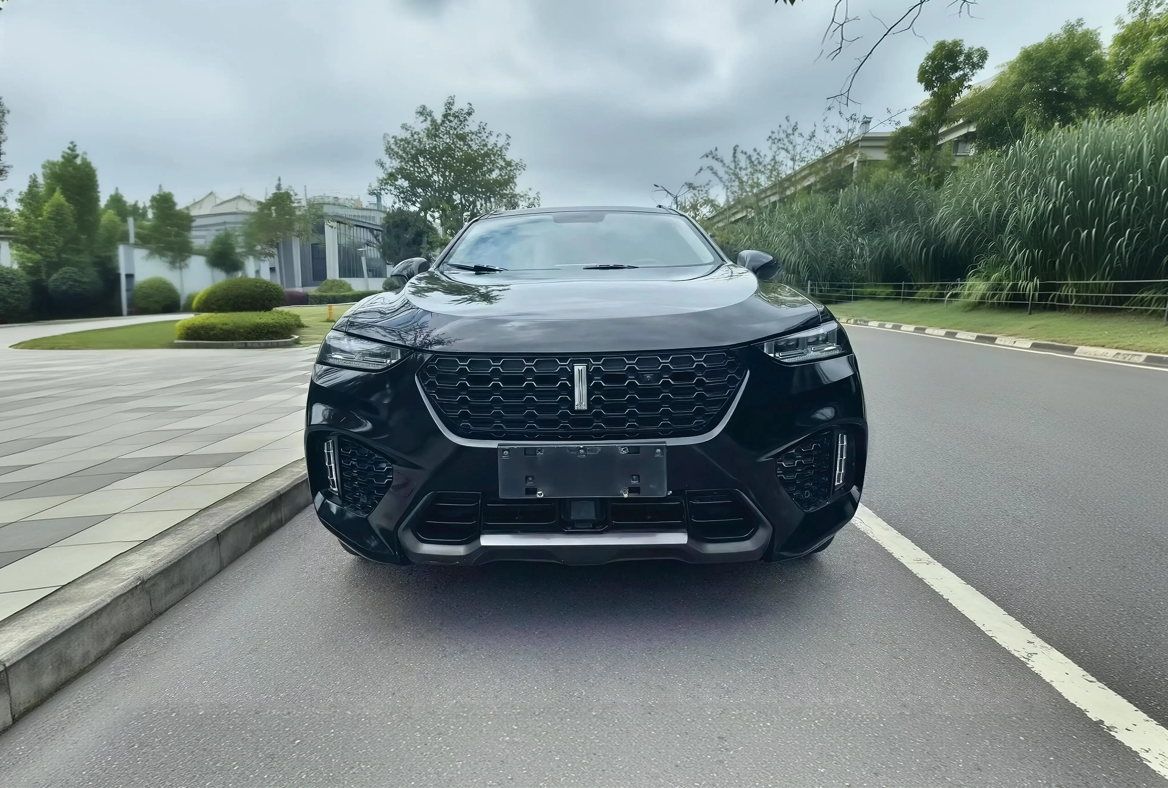 Wey Wei brand VV7