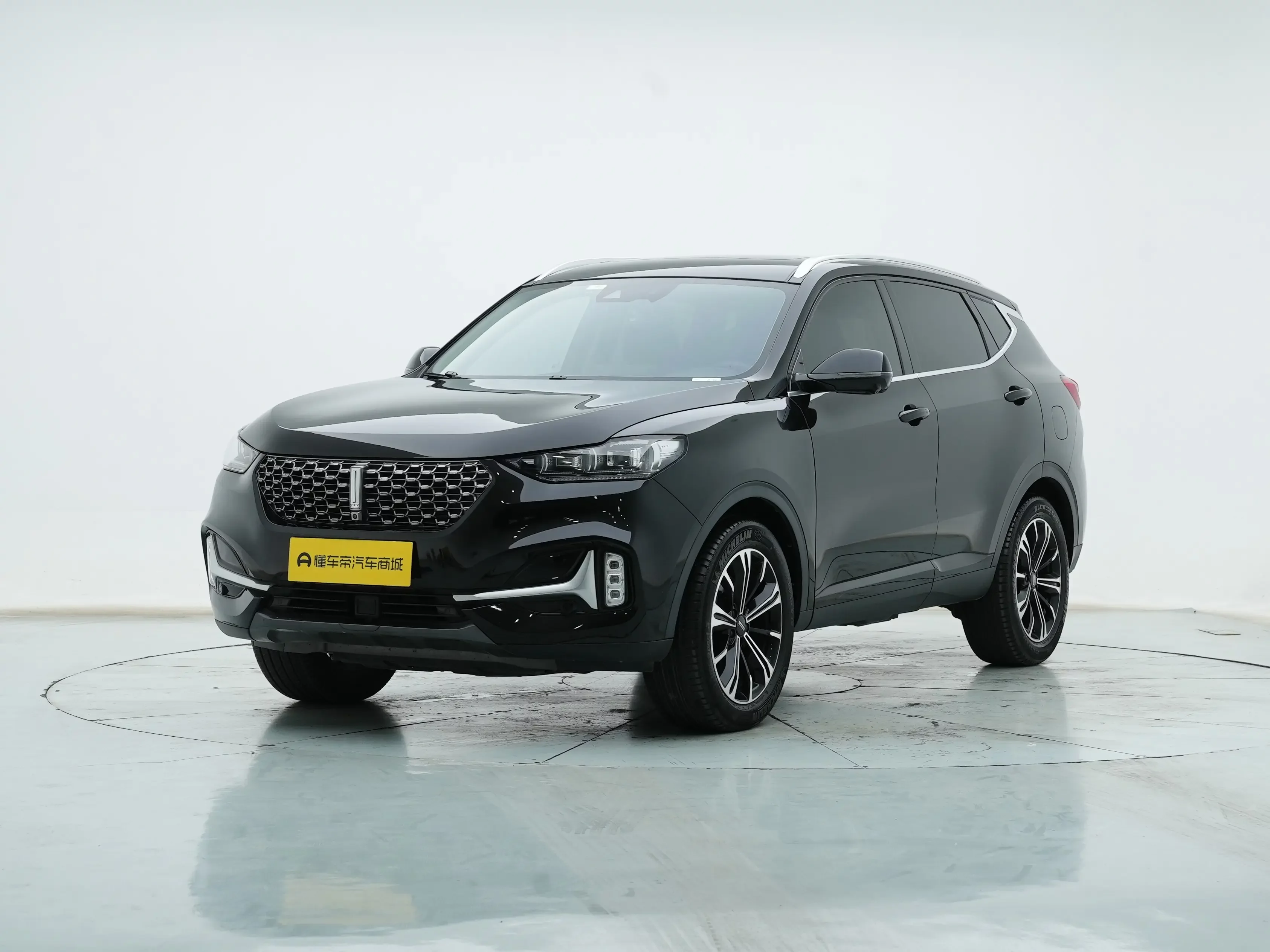 Wey Wei brand VV6