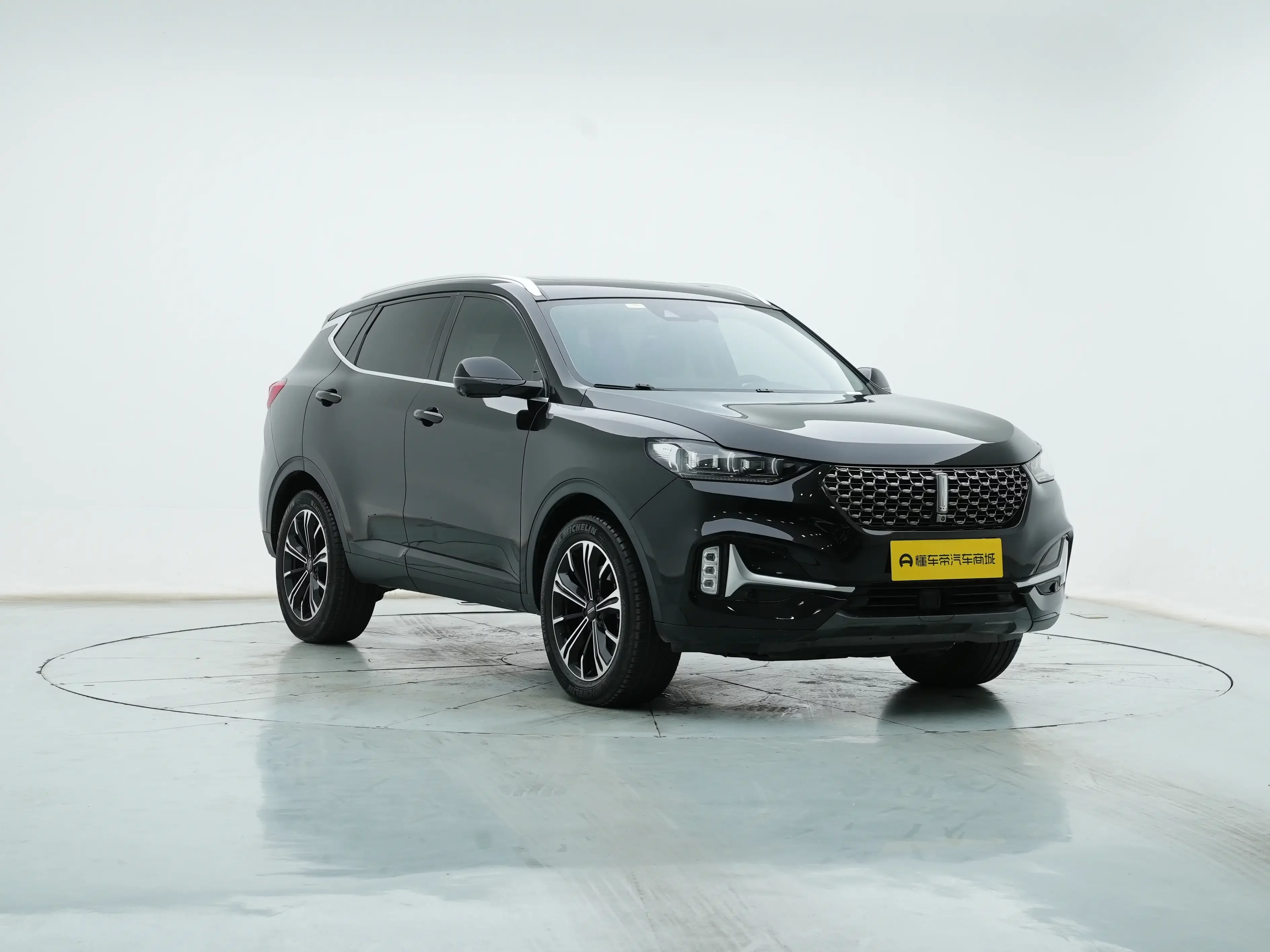 Wey Wei brand VV6