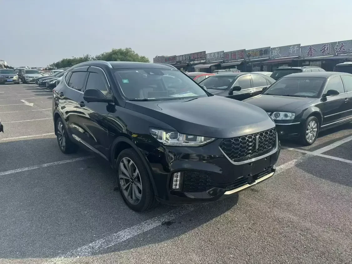 Wey Wei brand VV6