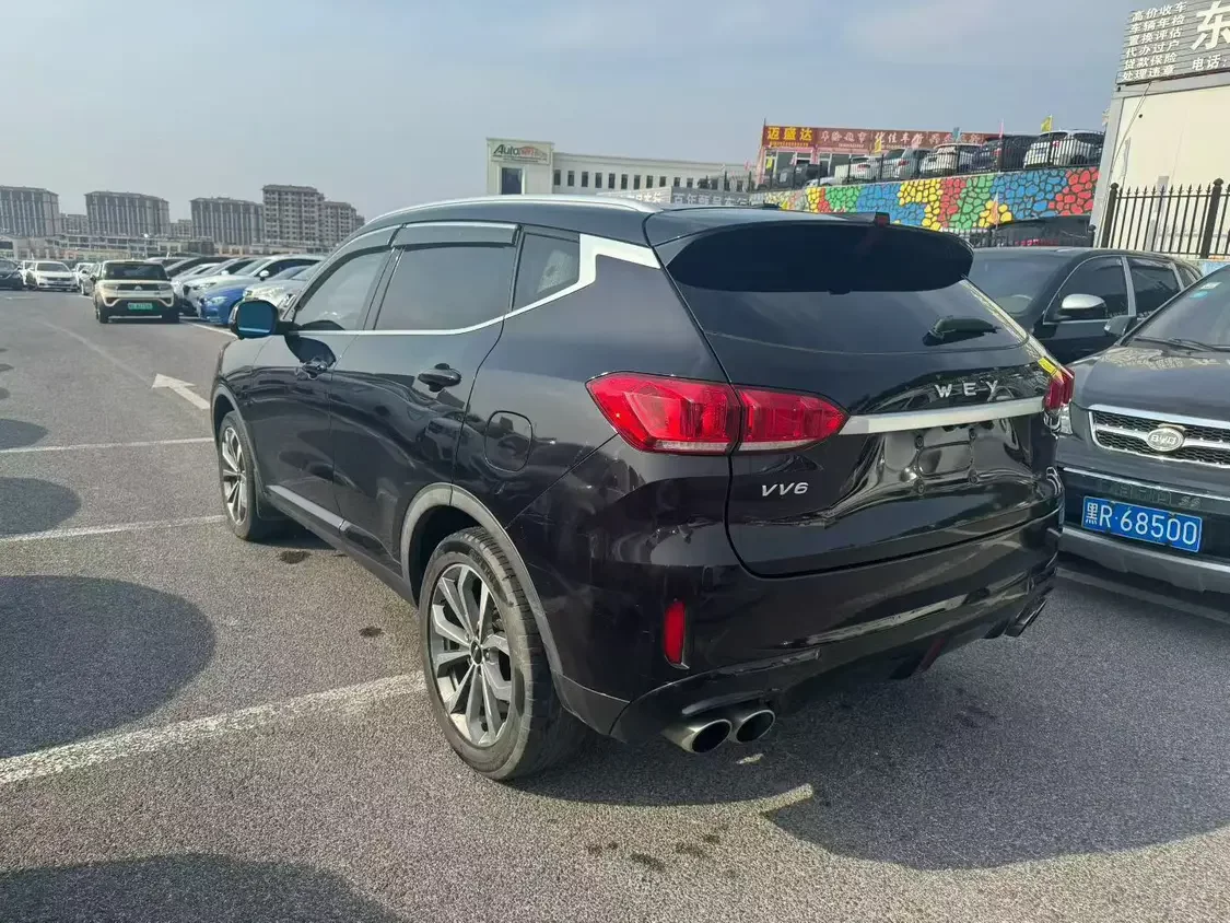 Wey Wei brand VV6