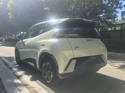 BYD Seagull