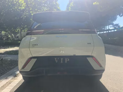BYD Seagull