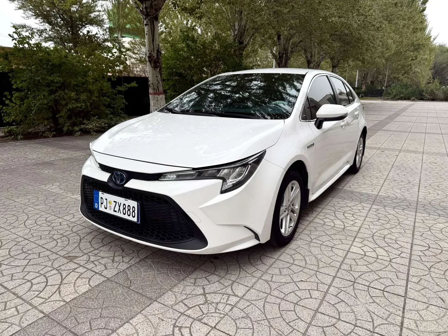 Toyota Levin
