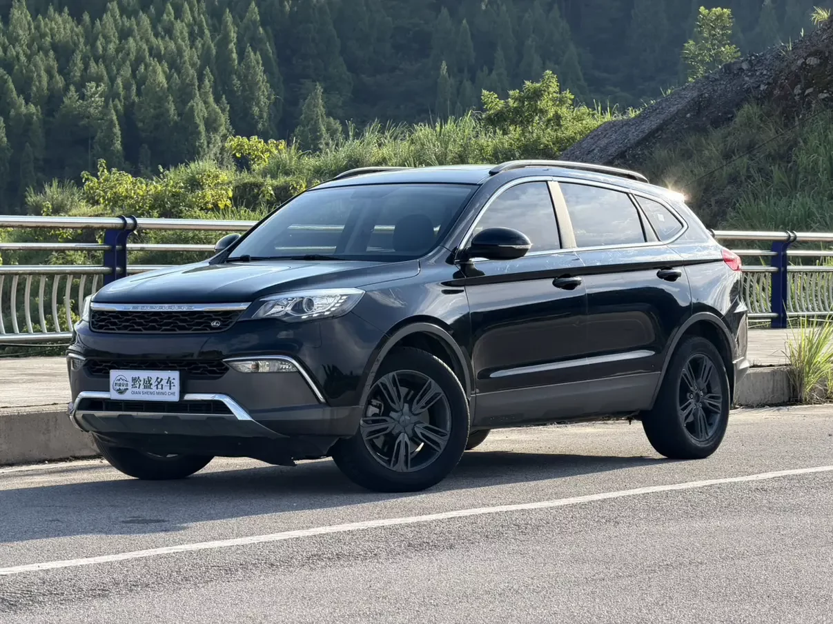 Leopaard Cheetah CS10