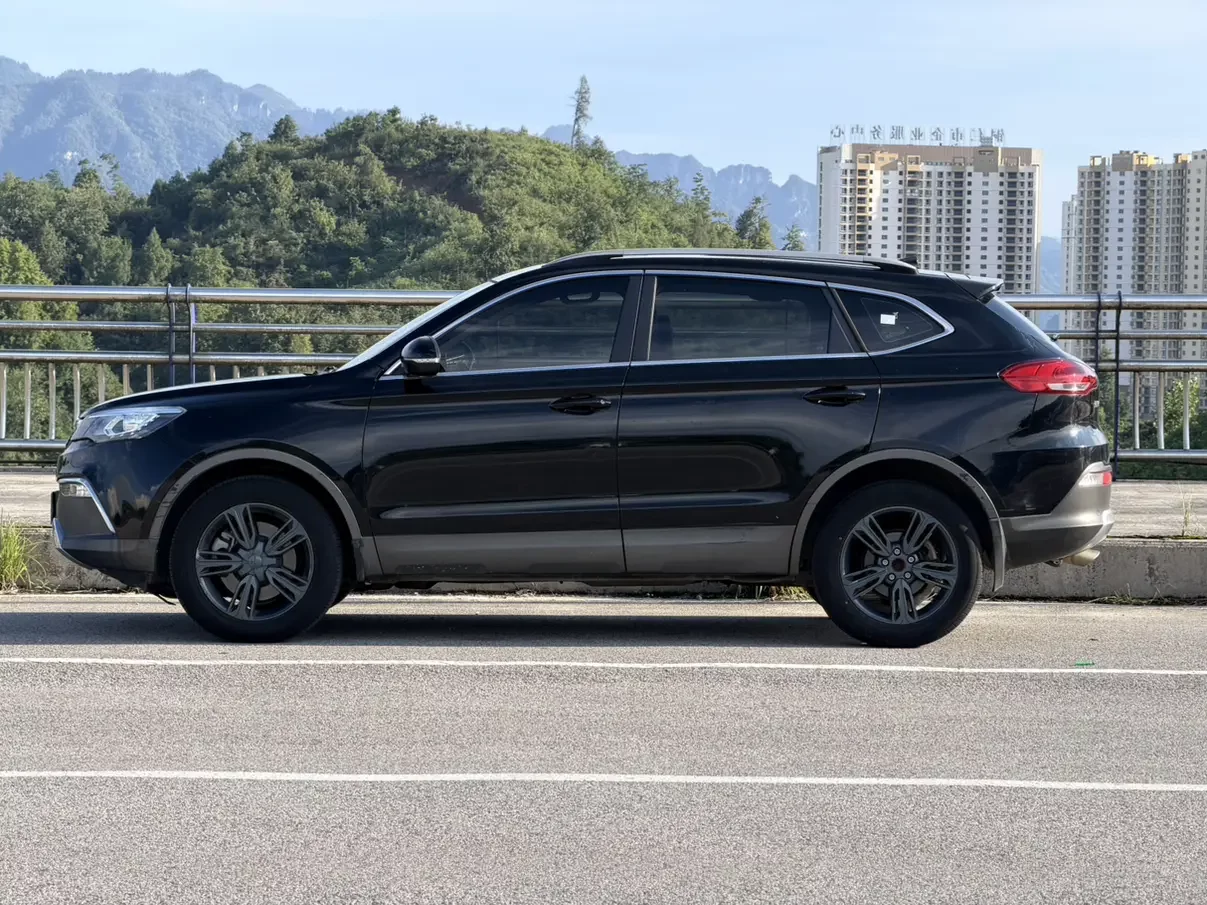 Leopaard Cheetah CS10