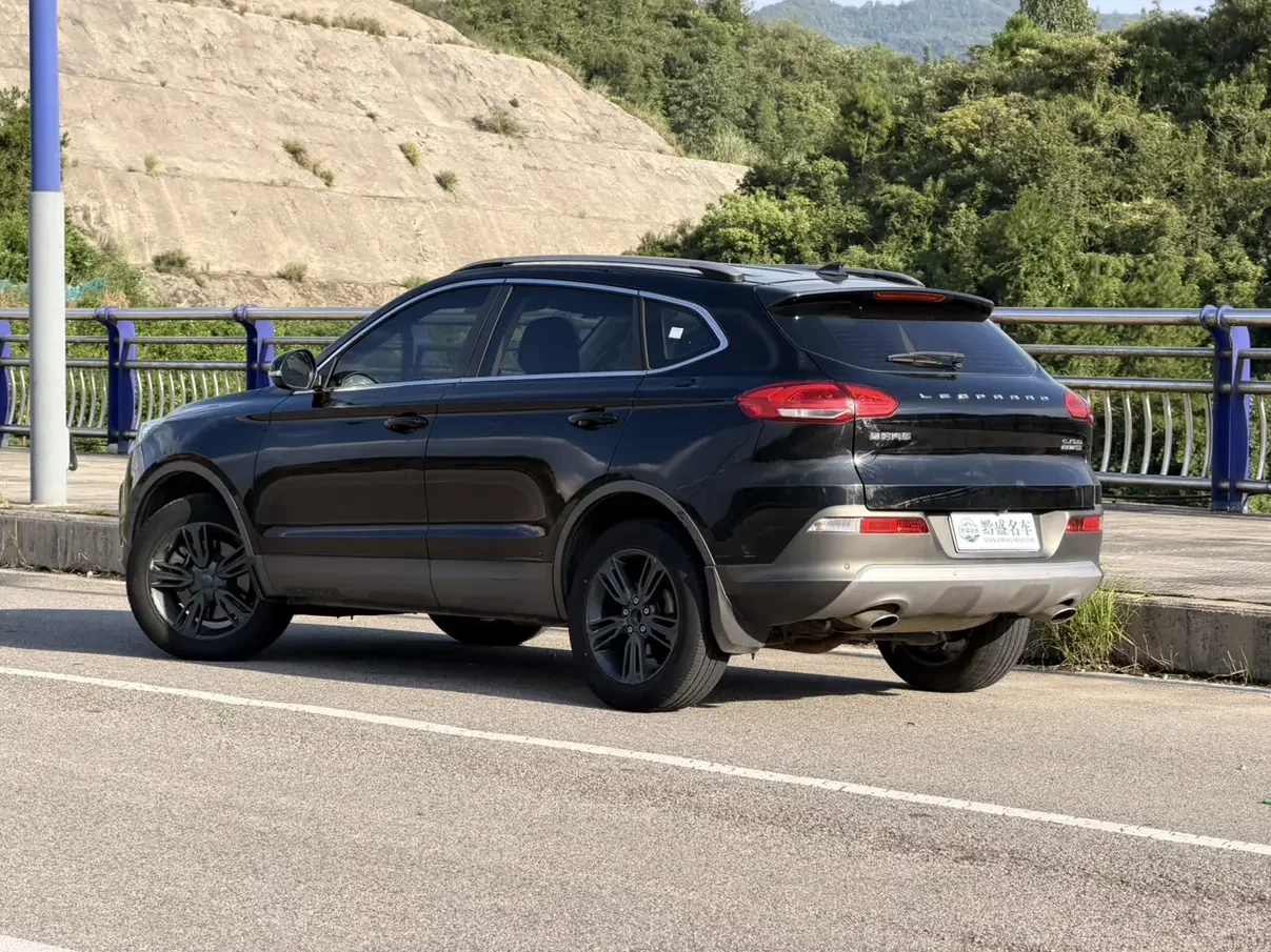 Leopaard Cheetah CS10