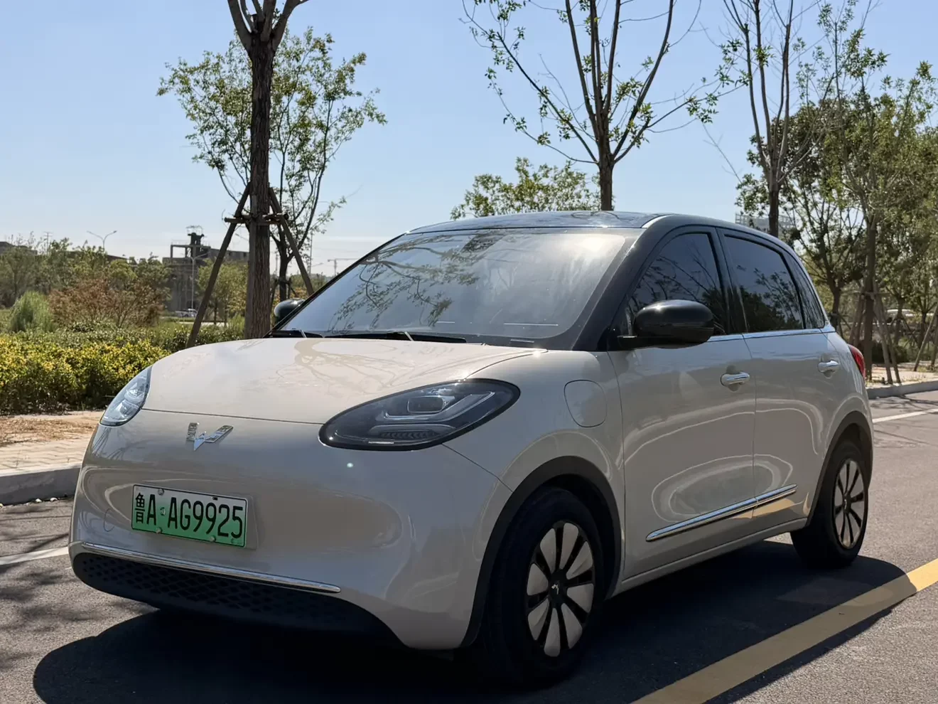 Wuling Bingo