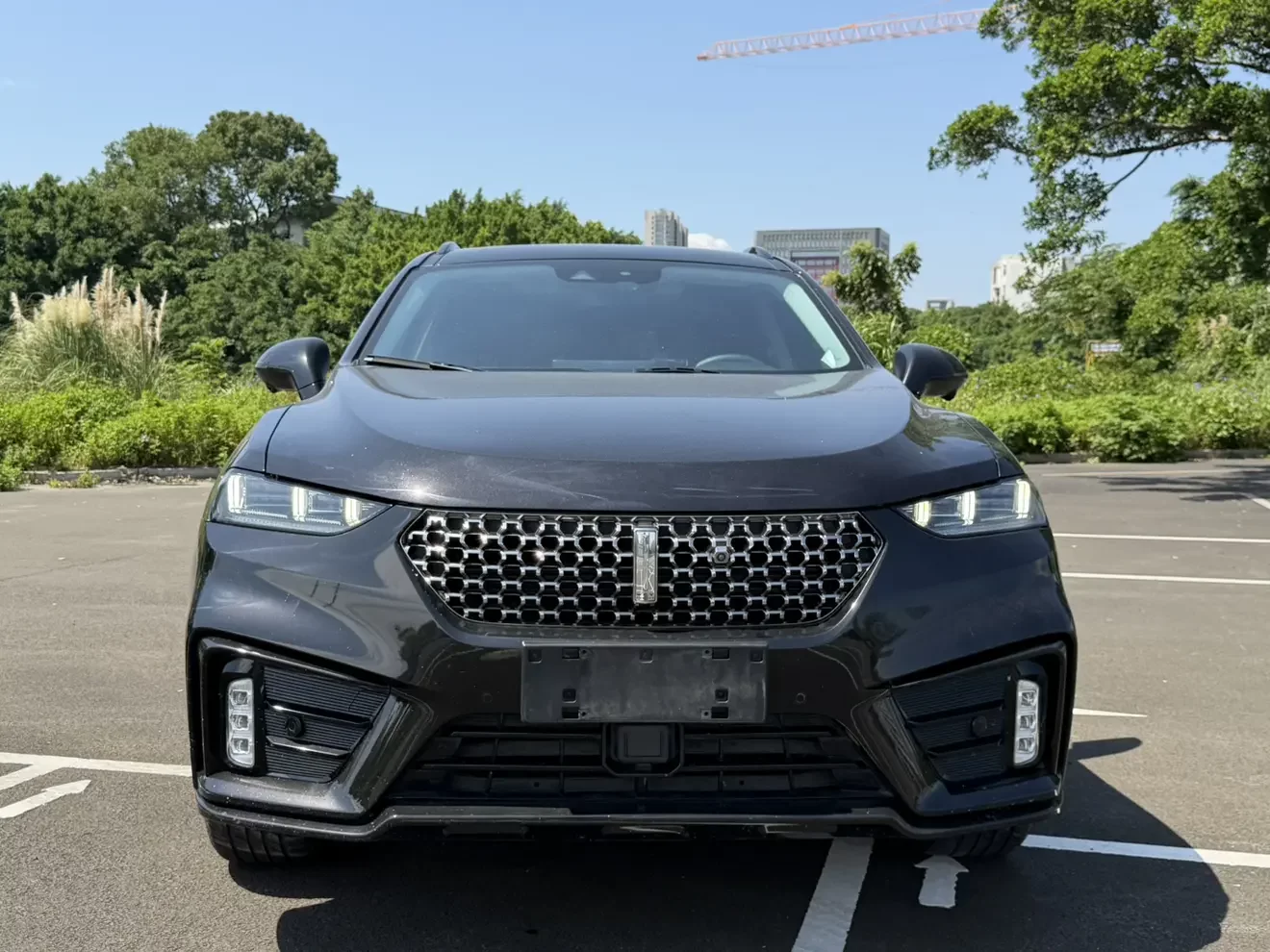 Wey Wei brand VV7