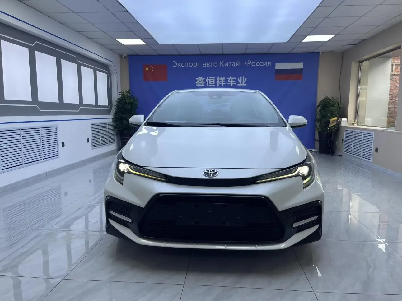 Toyota Levin