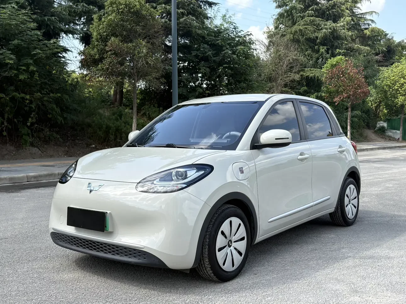 Wuling Bingo