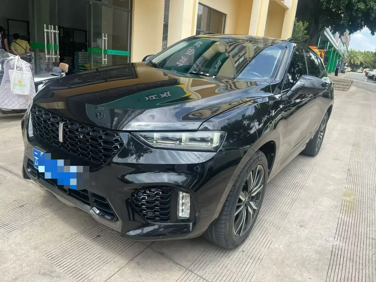 Wey Wei brand VV7