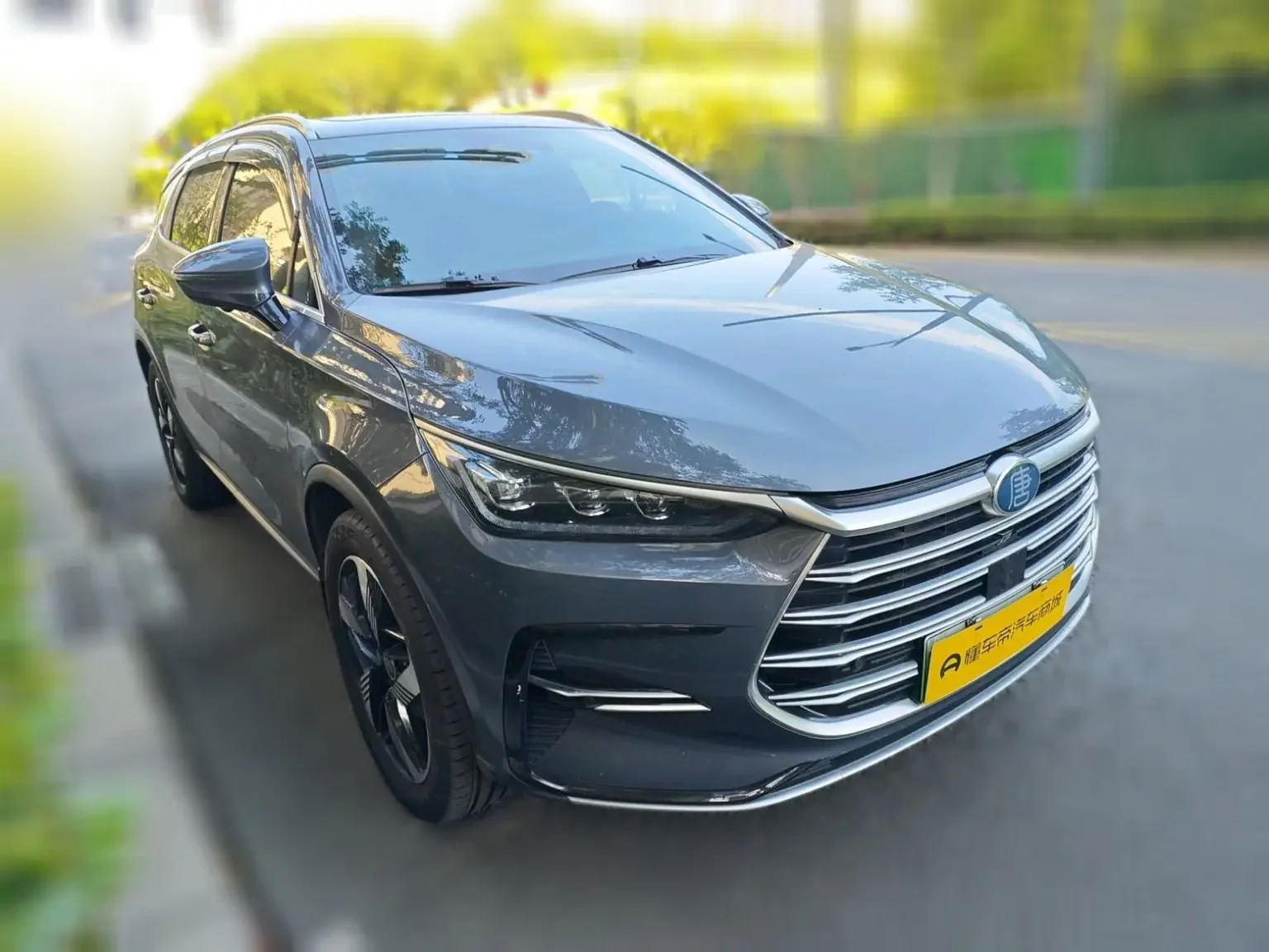 BYD Tang DM