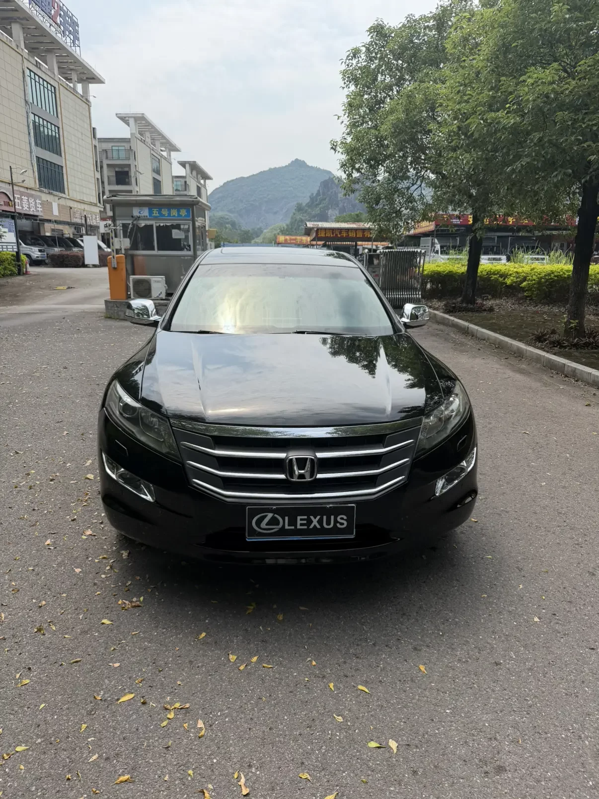 Honda Songs and poems