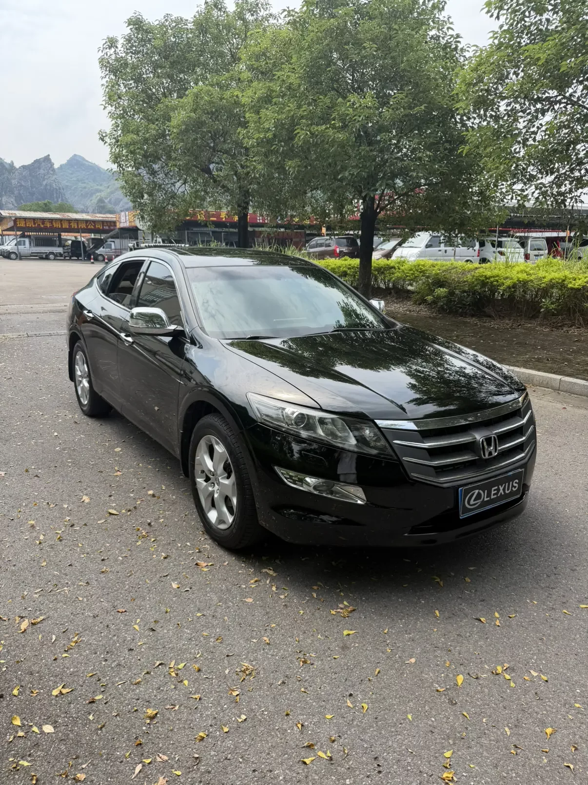 Honda Songs and poems