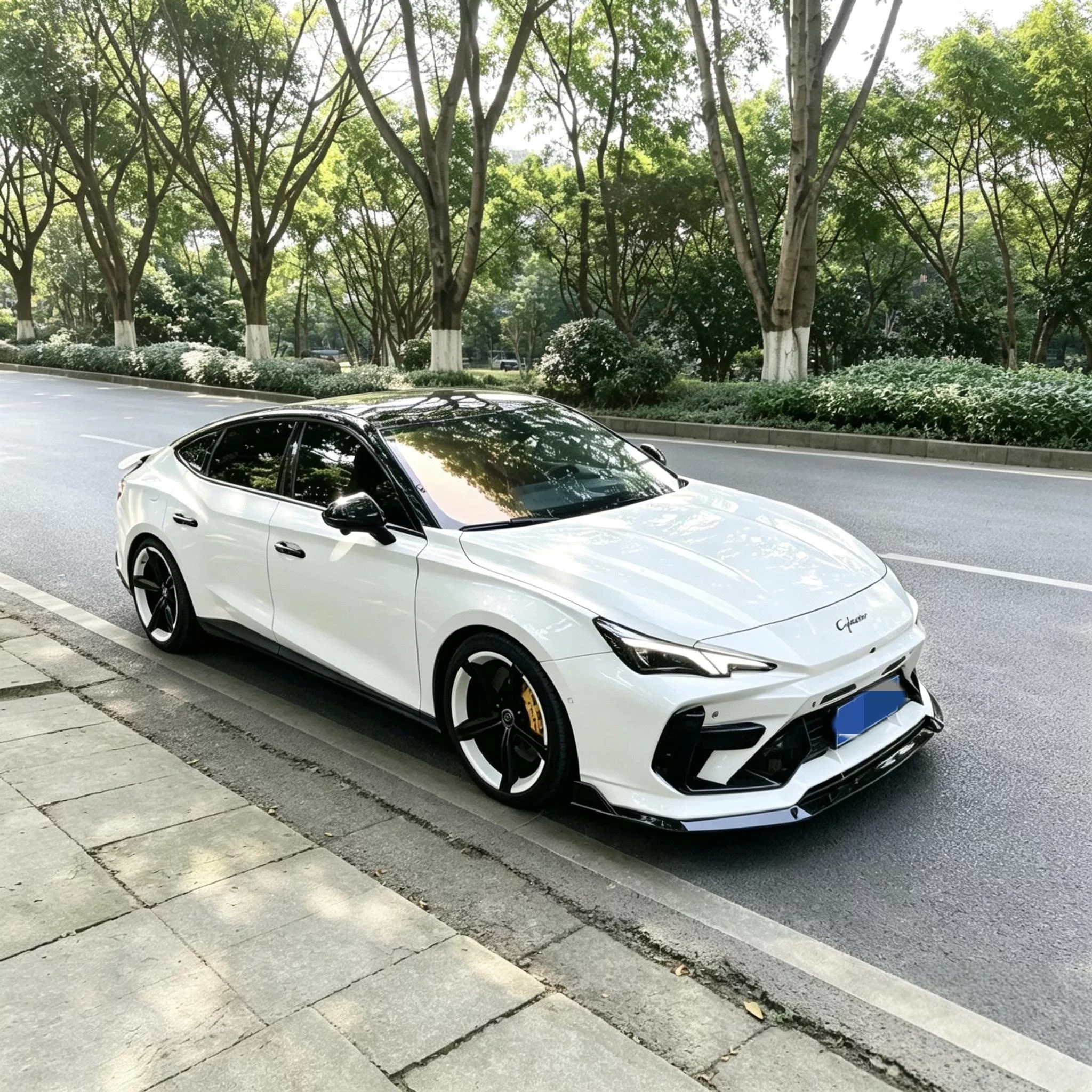 MG 7